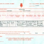 Davis Family Tree - Davis, Robert 1863 Birth Certificate