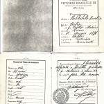 Rebelato Family Tree - Rebelato Family Basilio Rebelato, Passport 1906