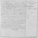 Rebelato Family Tree - Rebelato Family Severino Antonio Rebelato Birth Certificate 1905