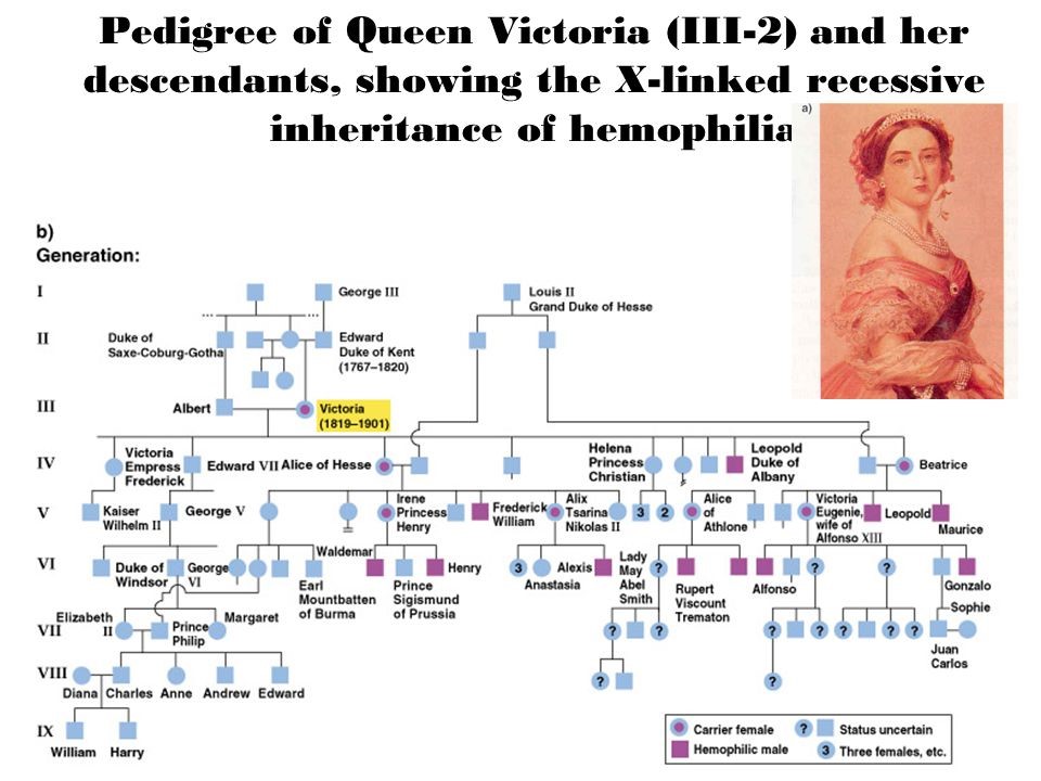 Are There Different Types Of Genealogy Pedigree Chart 